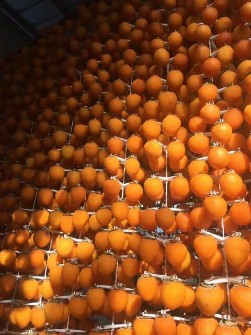 柿饼1~2两