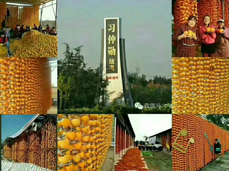 柿饼1~2两