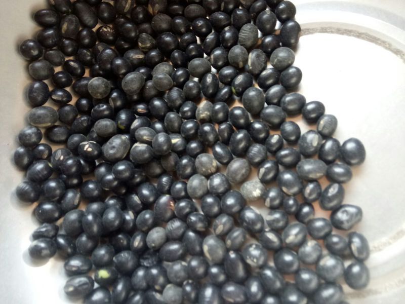 乌皮青仁豆袋装