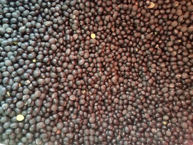 乌皮青仁豆袋装