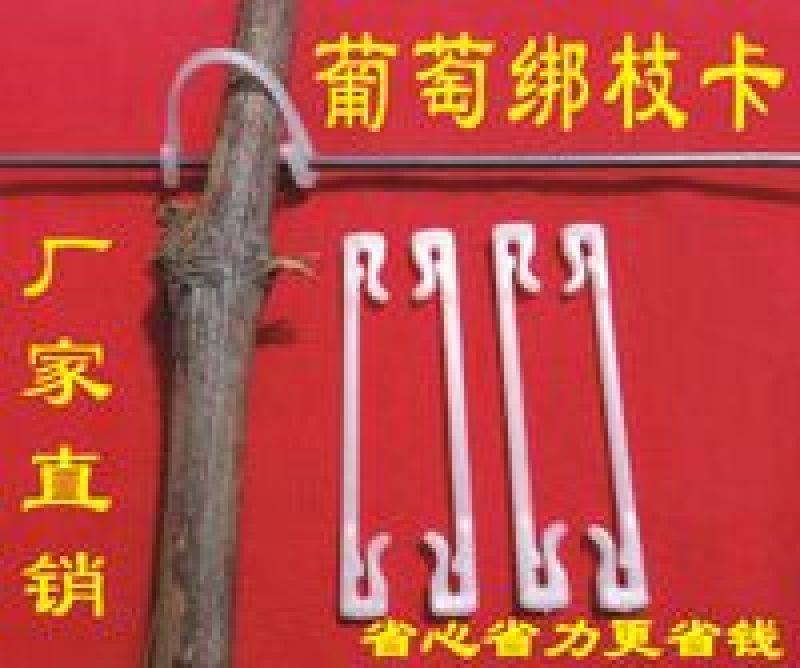 绑枝卡扣绑枝卡子塑料卡子绑蔓卡子绑枝卡扣枝条卡子
