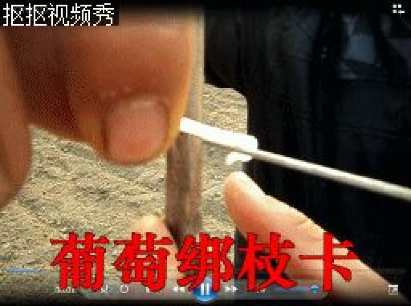 绑枝卡扣绑枝卡子塑料卡子绑蔓卡子绑枝卡扣枝条卡子