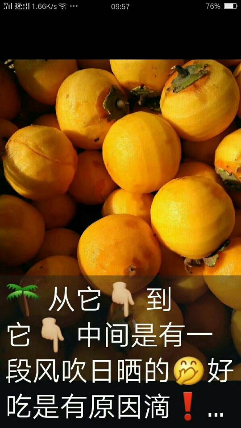 柿饼1~2两