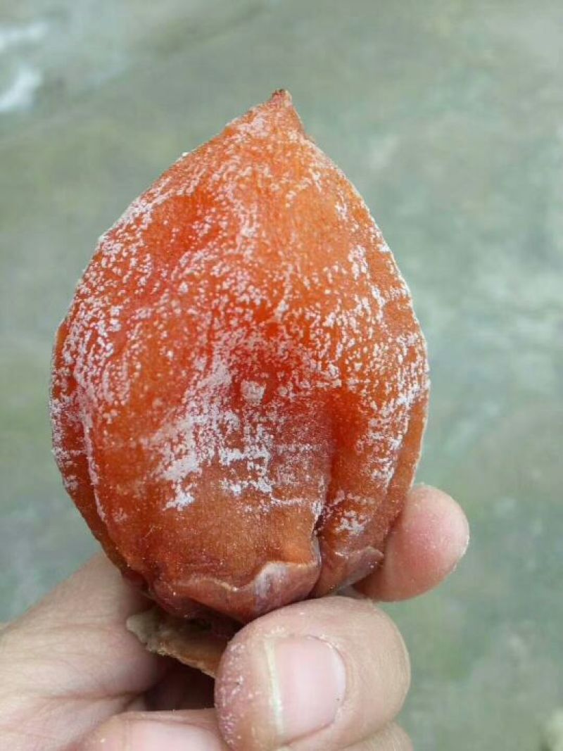 柿饼1~2两