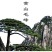 黄山毛峰