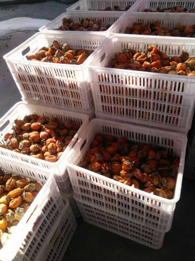 柿饼5斤包邮，欢迎订购