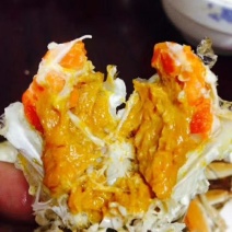 江苏螃蟹江苏大闸蟹，个个有黄，母蟹