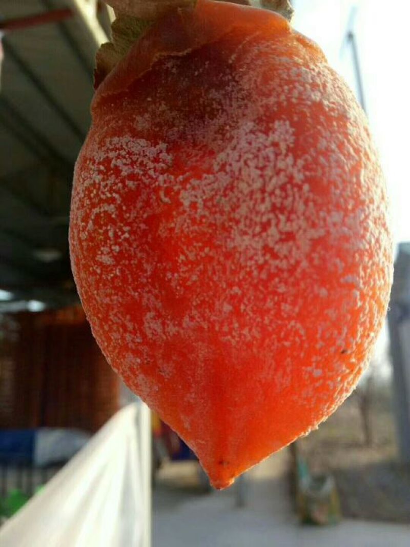 柿饼1~2两