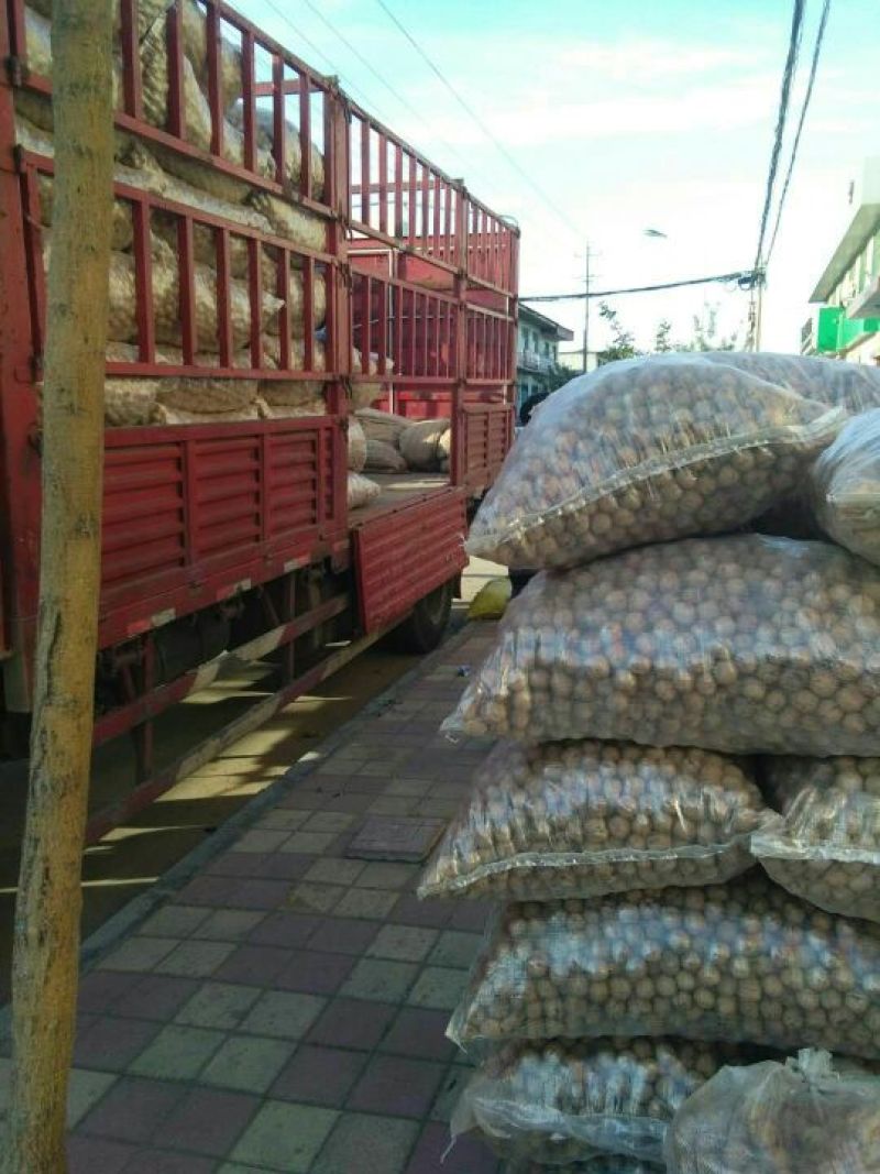 核桃去皮30mm以上干高质量规格品种齐全高质量产地