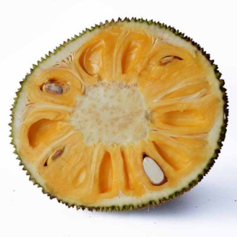 菠萝蜜23至30斤，，，，，，，，，，，，