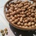 薄皮核桃去皮30~35mm干
