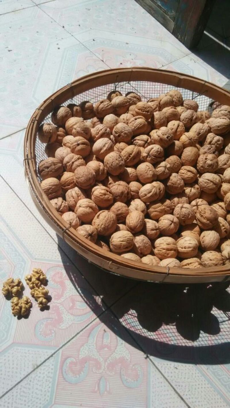 薄皮核桃去皮30~35mm干