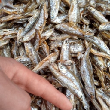 鱼干油炸鱼干