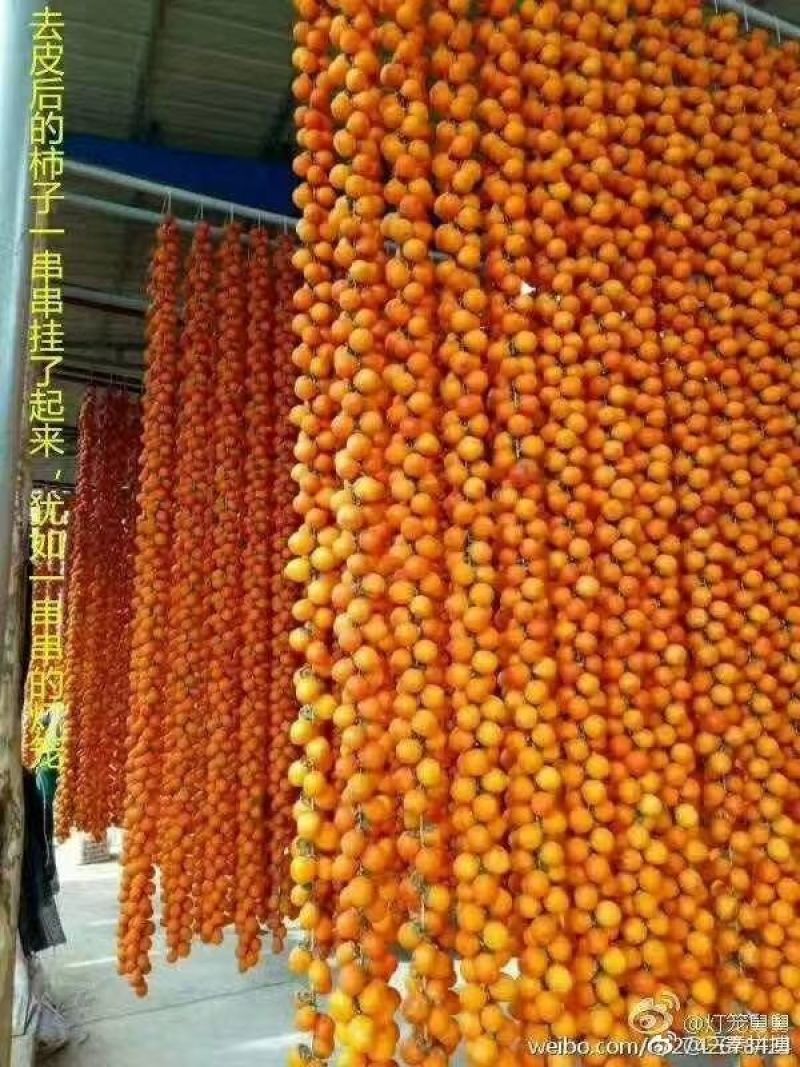 柿饼1~2两