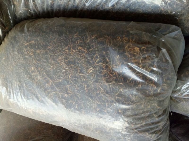 干豆角丝60厘米以上