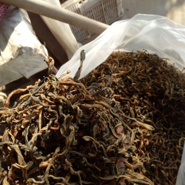 干豆角丝60厘米以上