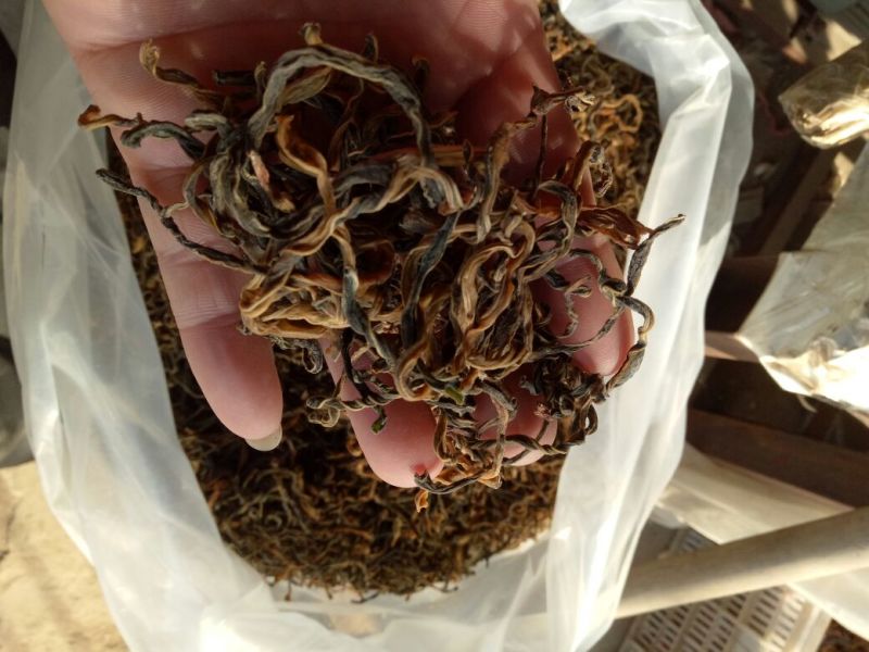 干豆角丝60厘米以上