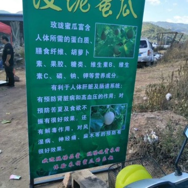 网纹瓜玫珑蜜瓜