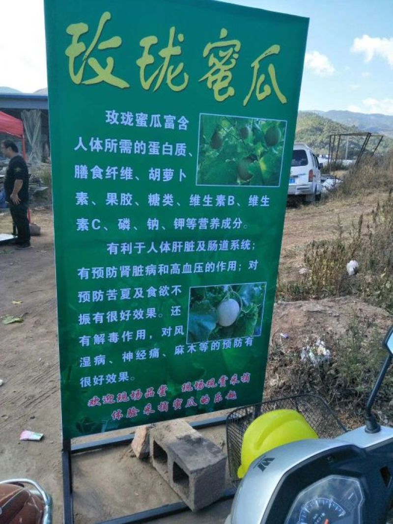 网纹瓜玫珑蜜瓜