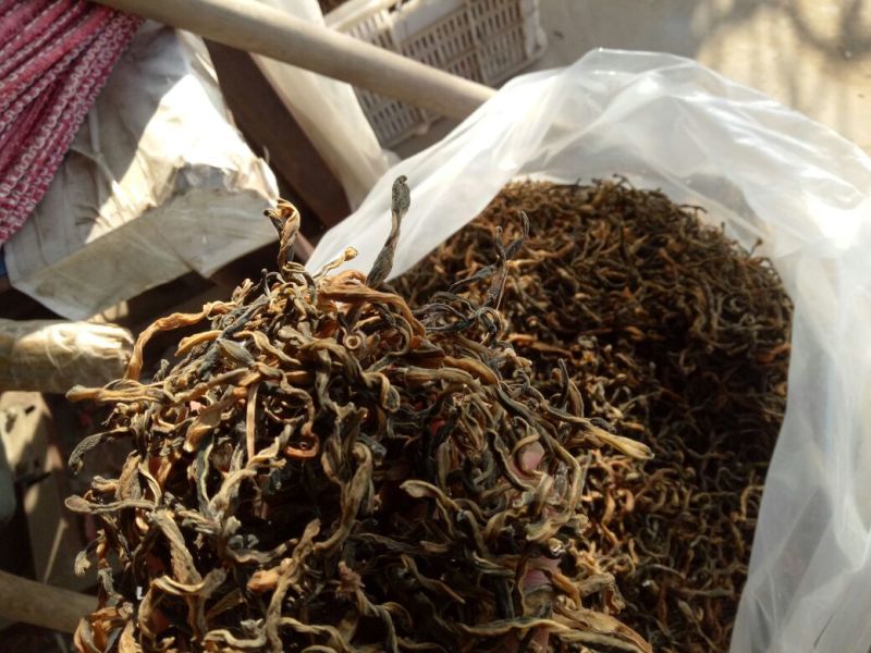 脱水长豆角