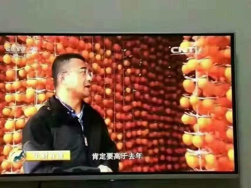 柿饼1~2两