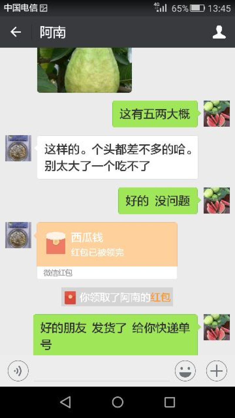 西瓜番石榴60~70mm红心
