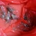 河虾活虾21~25只/kg