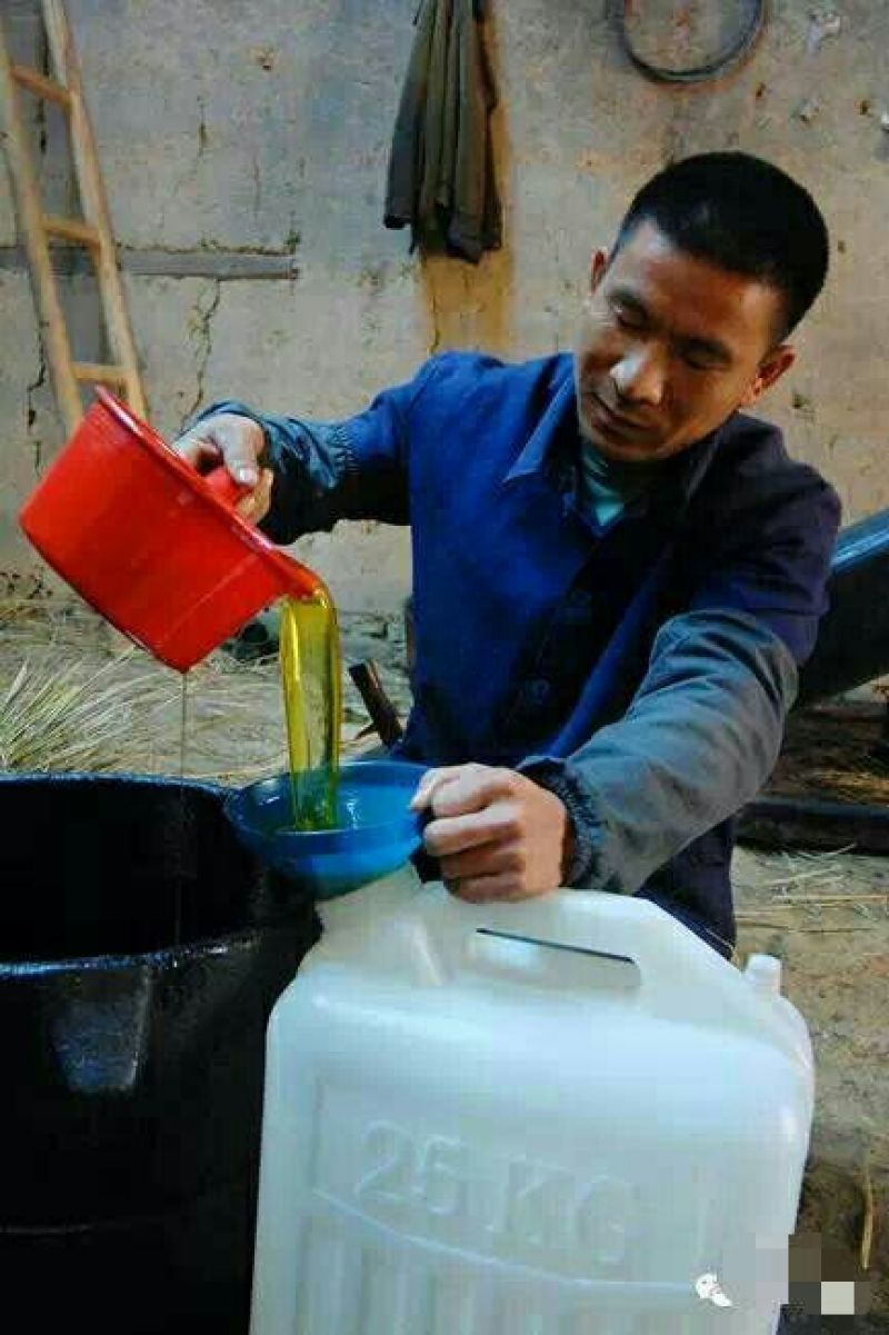 江西正宗生态野生木子油（茶油）