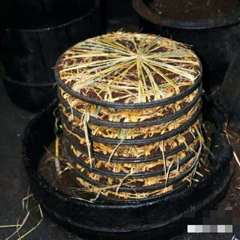 江西正宗生态野生木子油（茶油）