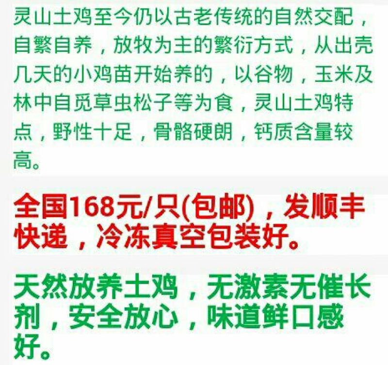 正宗散养土鸡6-9月