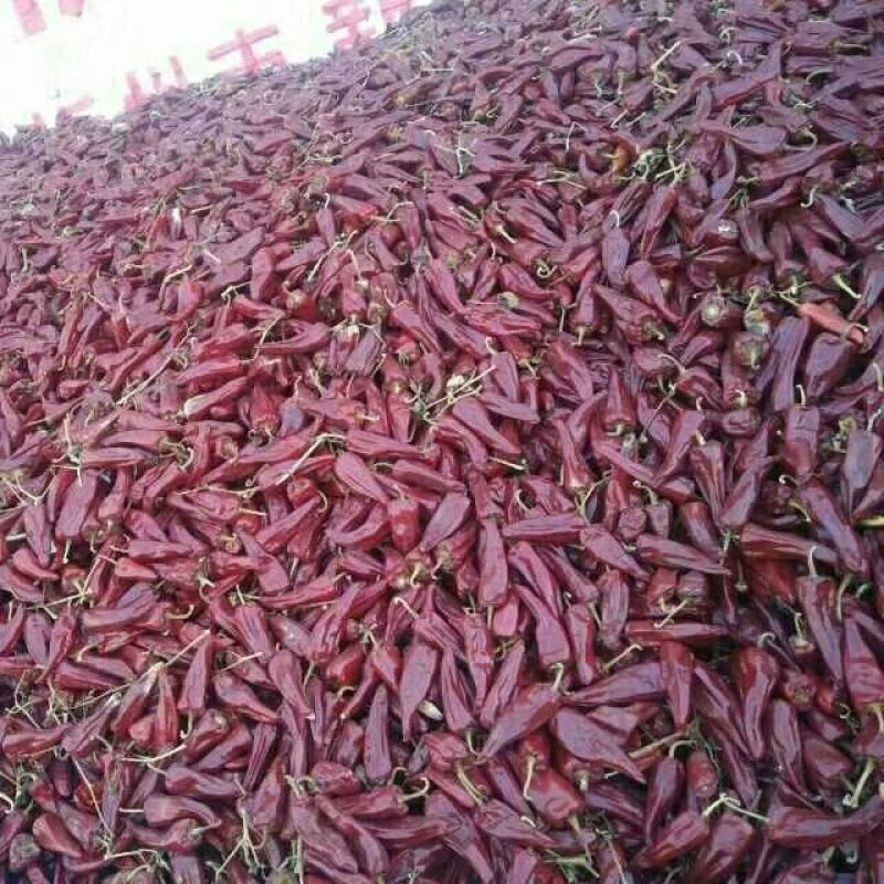 大量出售北京红干辣椒通货九成干好货货源充足，