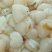 扇贝食用鲜活30~50只/kg