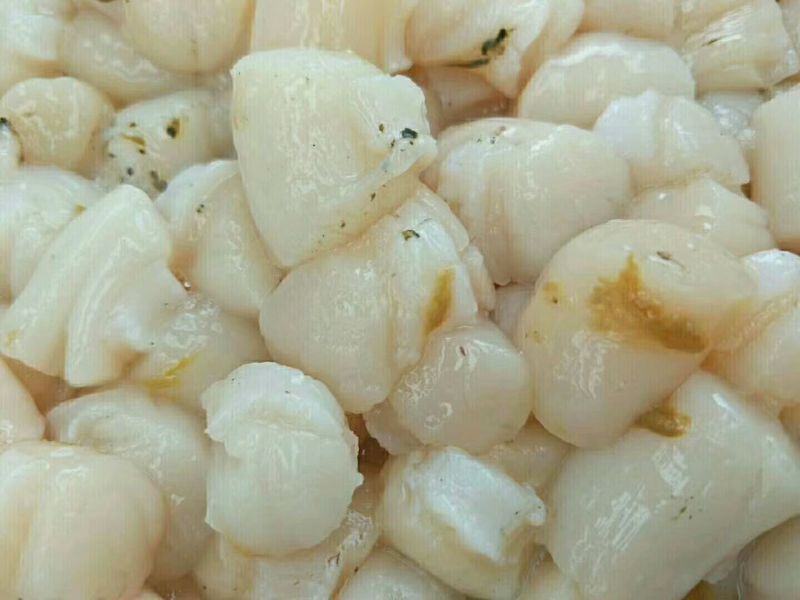 扇贝食用鲜活30~50只/kg