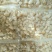 扇贝食用鲜活30~50只/kg