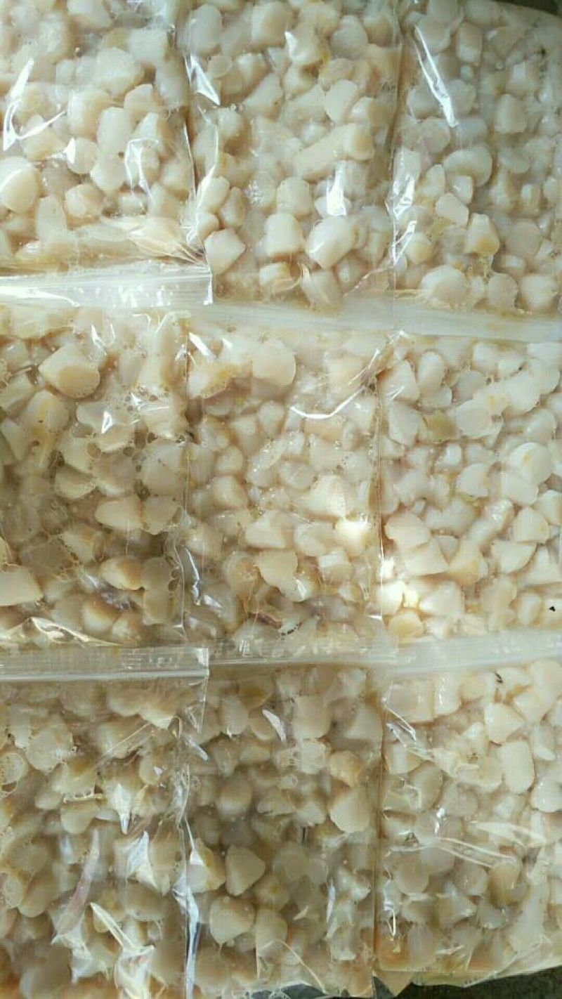 扇贝食用鲜活30~50只/kg