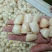 扇贝食用鲜活30~50只/kg