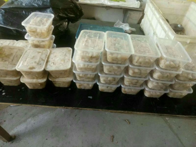 扇贝食用鲜活30~50只/kg