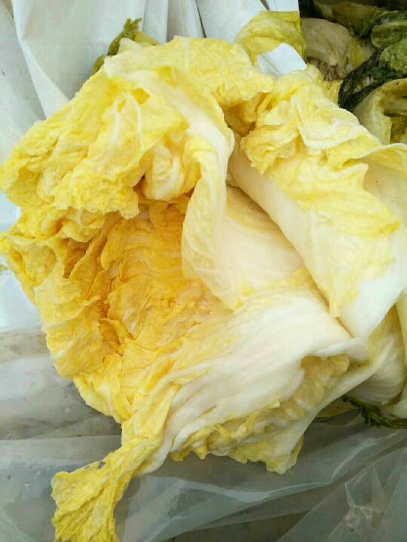 辽宁凌海酸菜盐水浸泡桶装