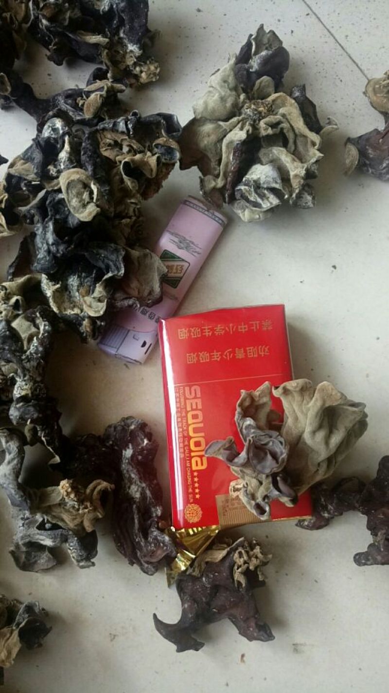 毛木耳二级