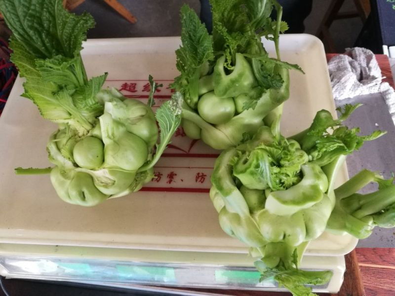 儿菜4两以上