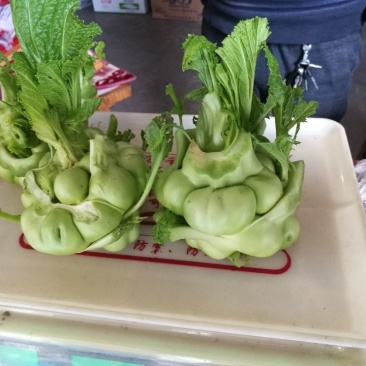 儿菜4两以上