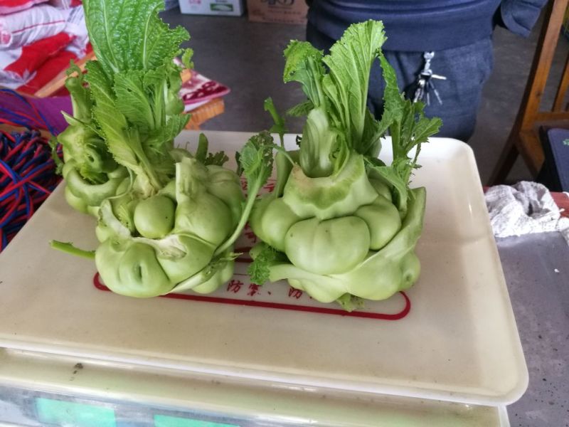 儿菜4两以上