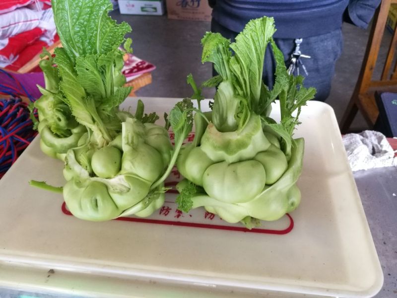 儿菜4两以上