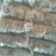 柿饼1~2两