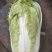 青杂三号白菜4~6斤