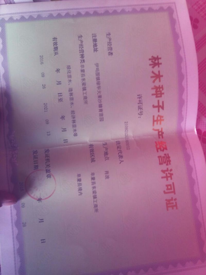 沙棘中华沙棘籽万亩基地货量充足对接各大电商平台代发代卖