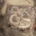 柿饼1~2两