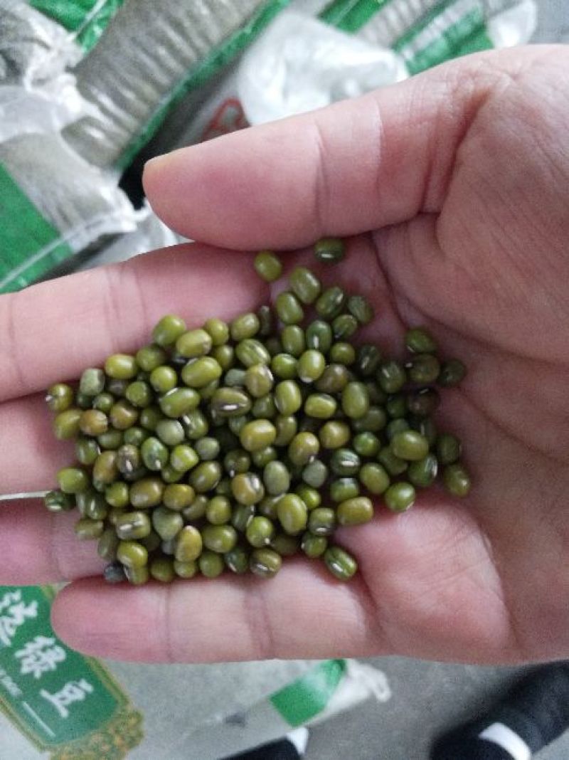 绿豆袋装
