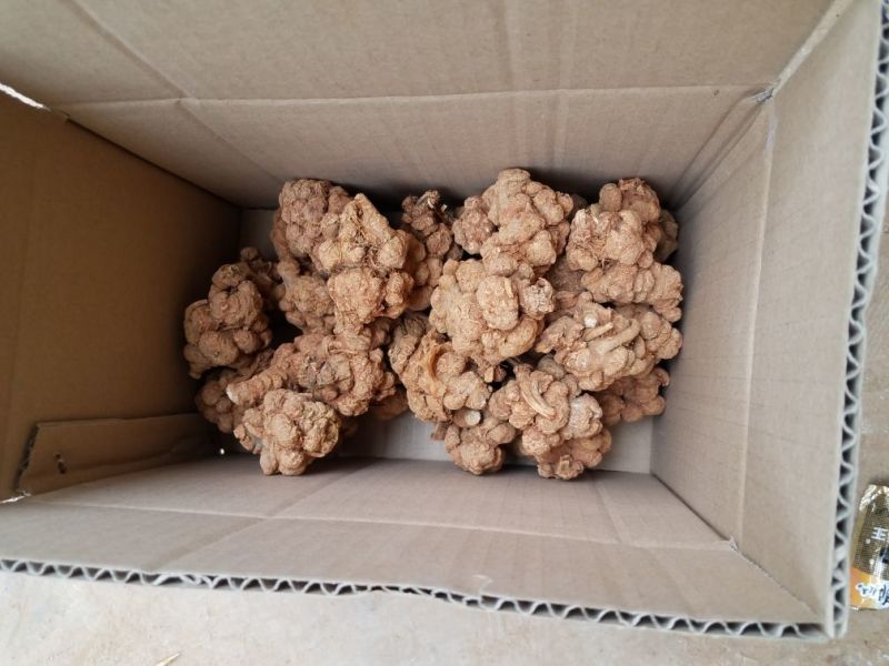 三七各种规格新货各种药材新货大量现货