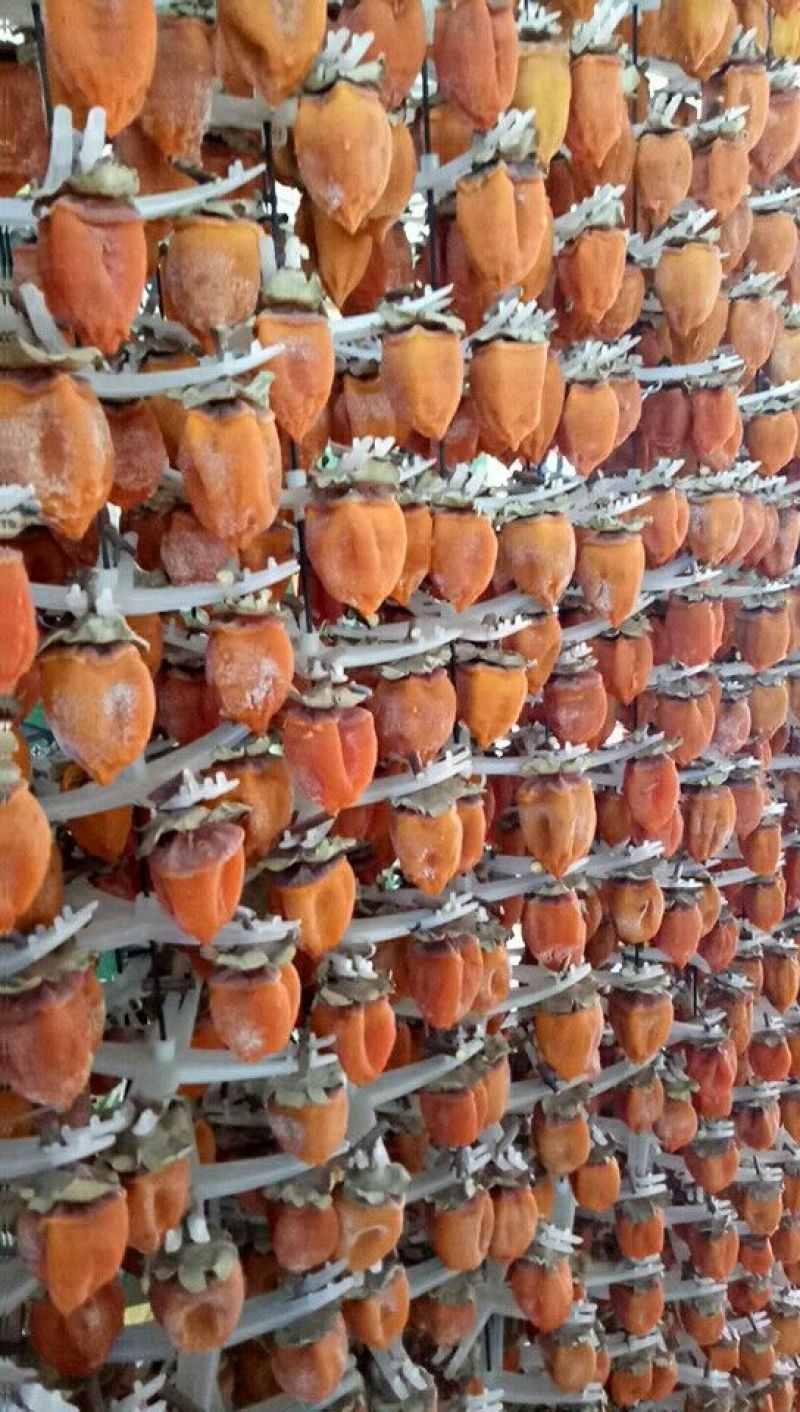 【一件代发】陕西富平柿饼富平一级柿饼产地直供精品柿饼